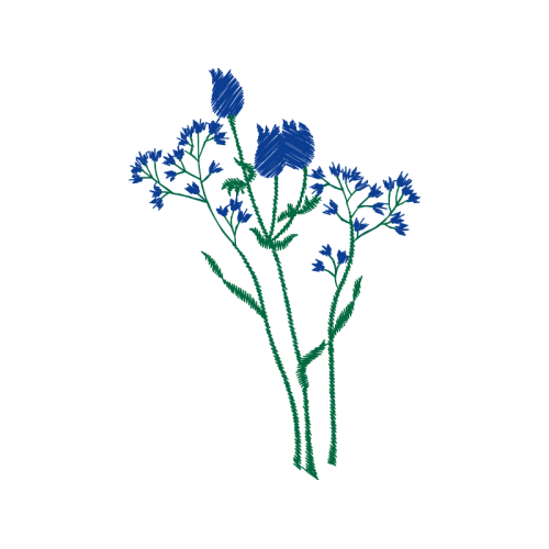 Illustration Wedding Illustration Wedding