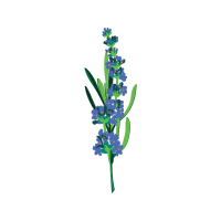 Illustration Wedding Illustration Wedding