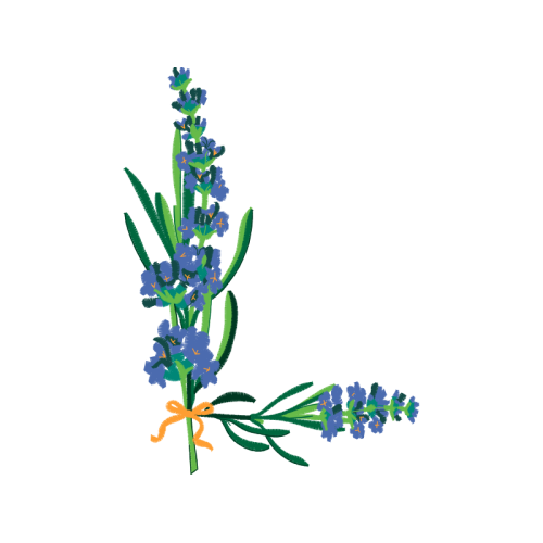 Illustration Wedding Illustration Wedding