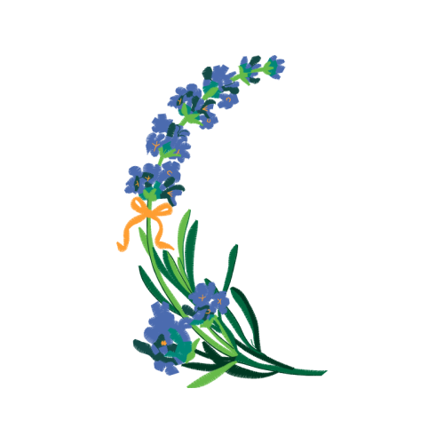 Illustration Wedding Illustration Wedding