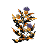 Illustration Wedding