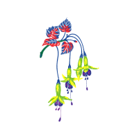 Illustration Wedding