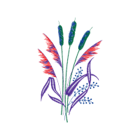 Illustration Wedding