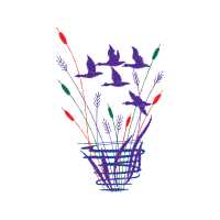 Illustration Wedding