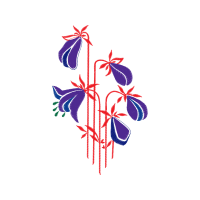 Illustration Wedding