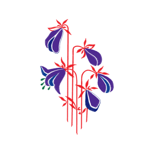 Illustration Wedding Illustration Wedding