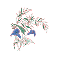 Illustration Wedding