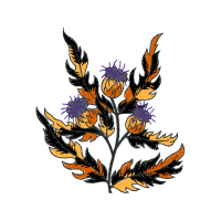 Illustration Wedding