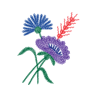 Illustration Wedding