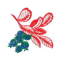 Illustration Wedding