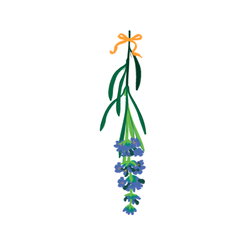 Illustration Wedding Illustration Wedding