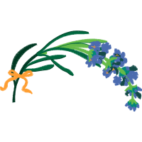 Illustration Wedding Illustration Wedding