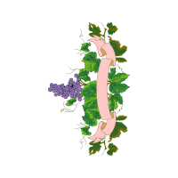 Illustration Wedding Illustration Wedding