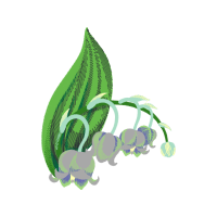 Illustration Wedding Illustration Wedding