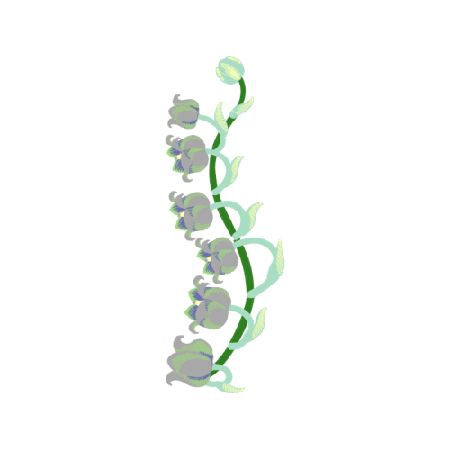 Illustration Wedding Illustration Wedding