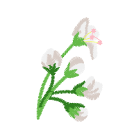 Illustration Wedding