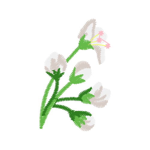 Illustration Wedding Illustration Wedding