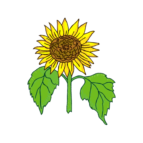 Illustration Wedding Illustration Wedding