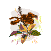 Illustration Wedding Illustration Wedding