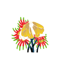 Illustration Wedding