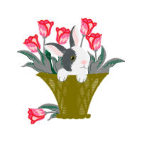 Illustration Wedding Illustration Wedding