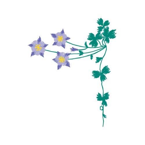 Illustration Wedding Illustration Wedding