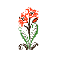 Illustration Wedding