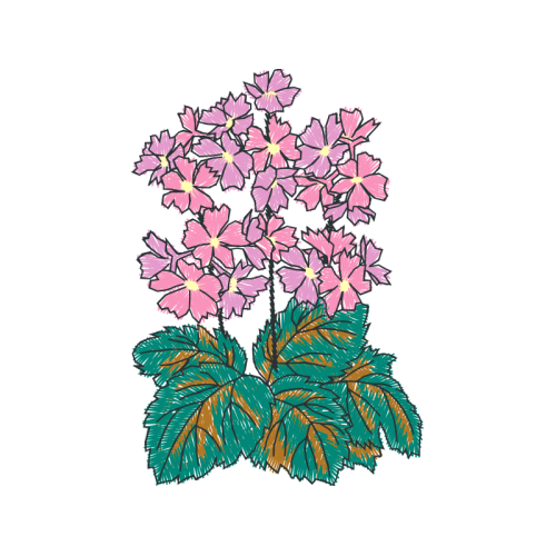 Illustration Wedding Illustration Wedding