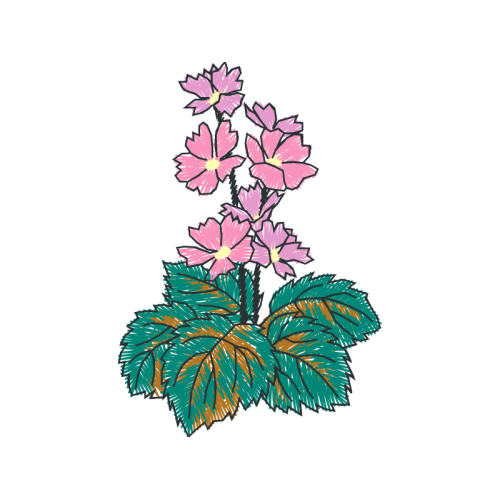 Illustration Wedding Illustration Wedding