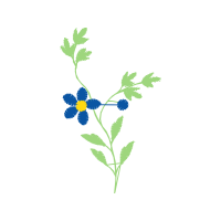 Illustration Wedding Illustration Wedding