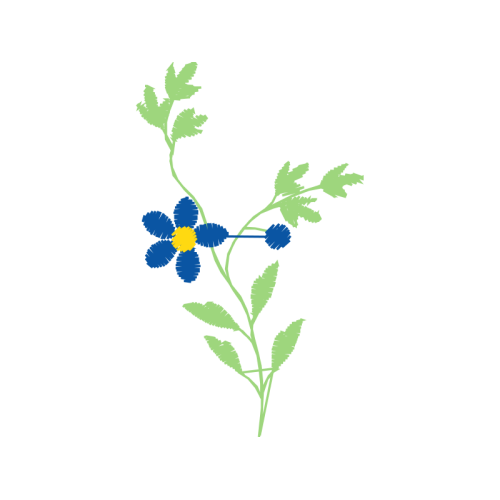 Illustration Wedding Illustration Wedding