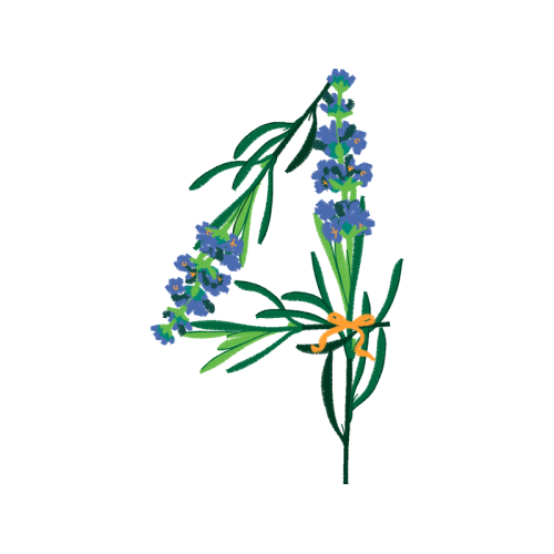 Illustration Wedding Illustration Wedding