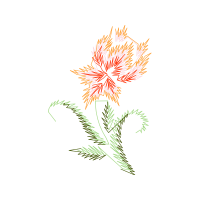 Illustration Wedding Illustration Wedding