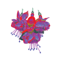 Illustration Wedding Illustration Wedding