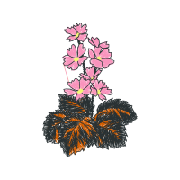 Illustration Wedding