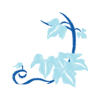 Illustration Wedding