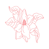 Illustration Wedding