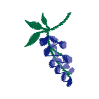 Illustration Wedding