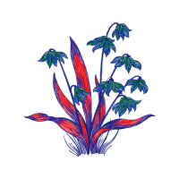 Illustration Wedding