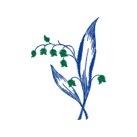 Illustration Wedding