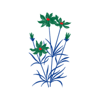 Illustration Wedding Illustration Wedding