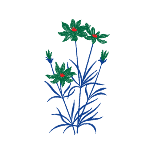 Illustration Wedding Illustration Wedding