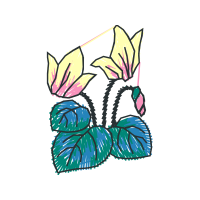 Illustration Wedding