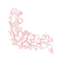 Illustration Wedding