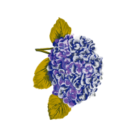 Illustration Wedding Illustration Wedding