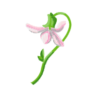 Illustration Wedding Illustration Wedding