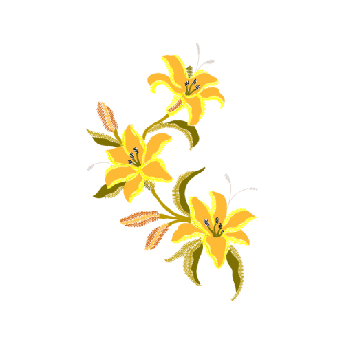 Illustration Wedding Illustration Wedding