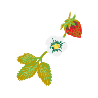 Illustration Wedding