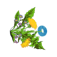 Illustration Wedding Illustration Wedding