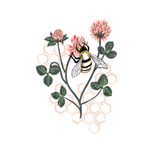 Illustration Wedding Illustration Wedding